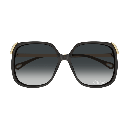 Occhiali da sole CHLOÉ CH0286S Grigio