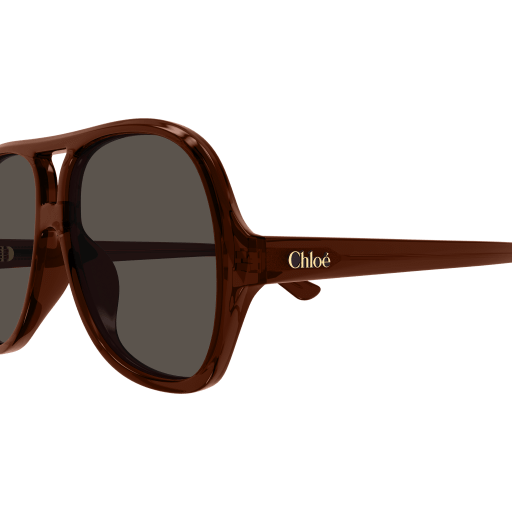 Occhiali da sole CHLOÉ CH0289S Marrone