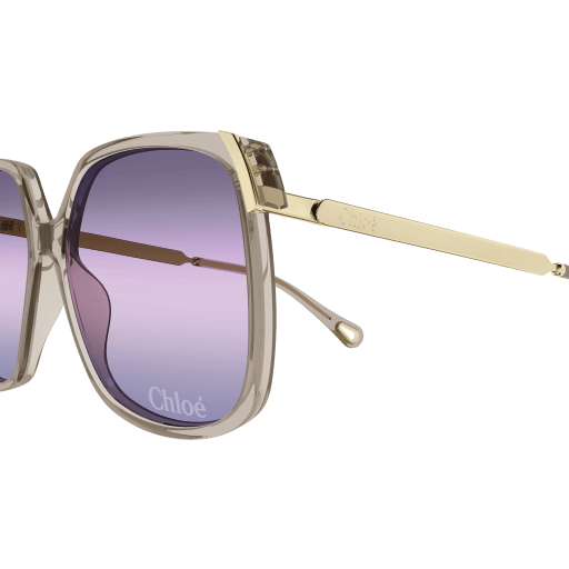 Occhiali da sole CHLOÉ CH0286S Marrone