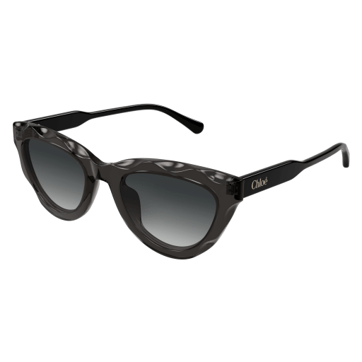 Occhiali da sole CHLOÉ CH0294S Grigio