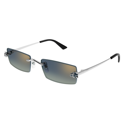 Occhiali da sole CARTIER CT0598S ARGENTO2
