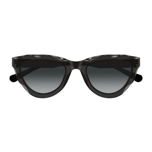 Occhiali da sole CHLOÉ CH0294S Grigio