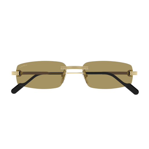 Occhiali da sole CARTIER CT0535S ORO2