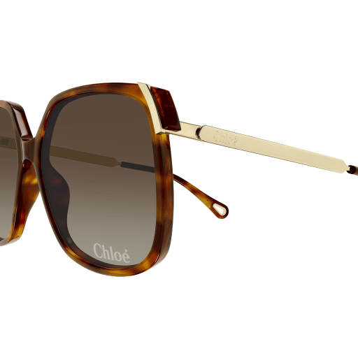 Occhiali da sole CHLOÉ CH0286S Havana