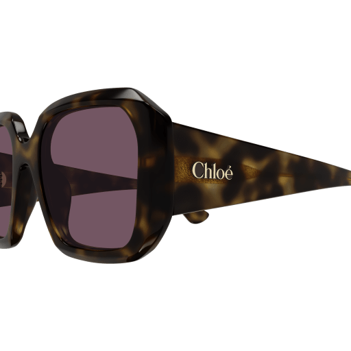 Occhiali da sole CHLOÉ CH0300S Havana