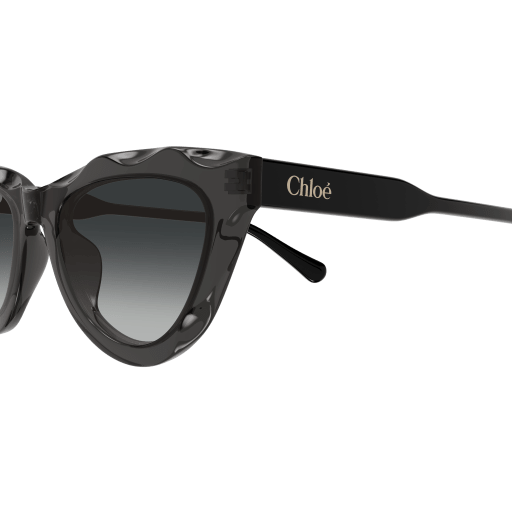 Occhiali da sole CHLOÉ CH0294S Grigio