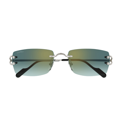Occhiali da sole CARTIER CT0550S Argento B