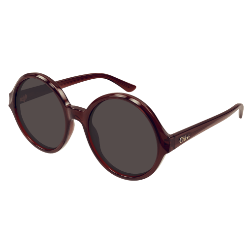 Occhiali da sole CHLOÉ CH0290S Marrone