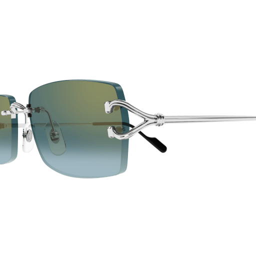 Occhiali da sole CARTIER CT0550S Argento B