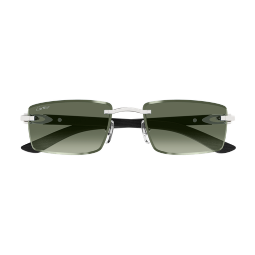 Occhiali da sole CARTIER CT0582S ARGENTO2