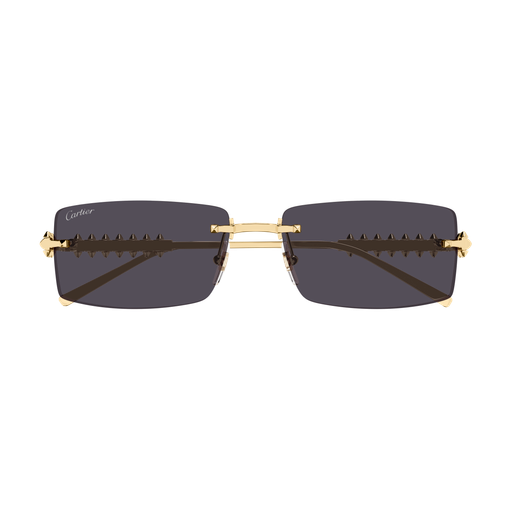 Occhiali da sole CARTIER CT0604S ORO2