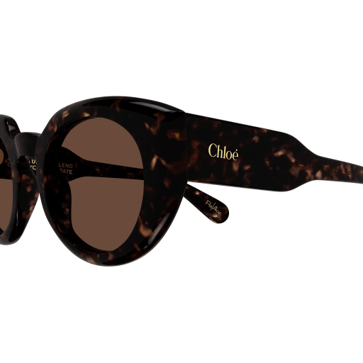 Occhiali da sole CHLOÉ CH0311S Havana