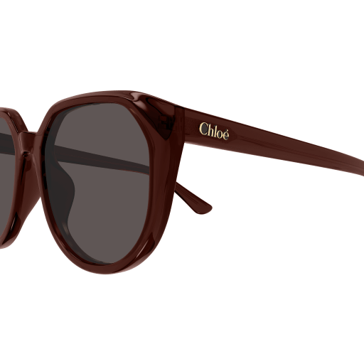 Occhiali da sole CHLOÉ CH0291SK Marrone