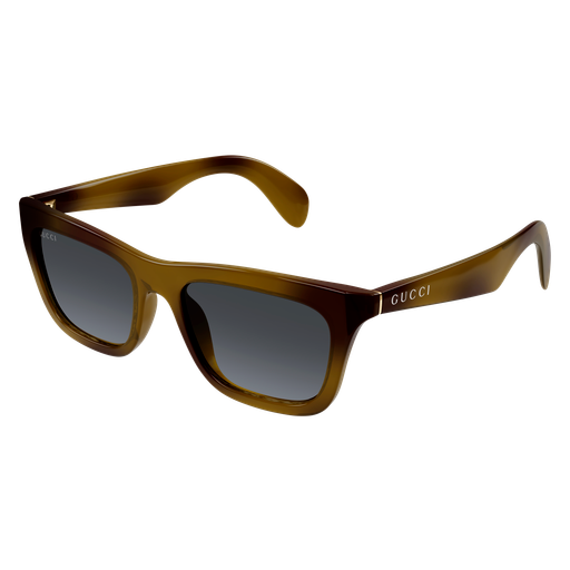 Occhiali da sole GUCCI GG1933S HAVANA2