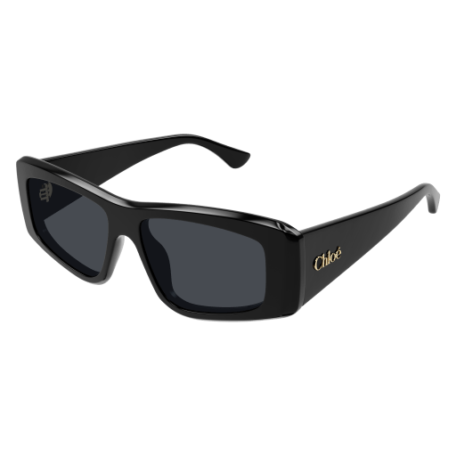 Occhiali da sole CHLOÉ CH0299S Nero