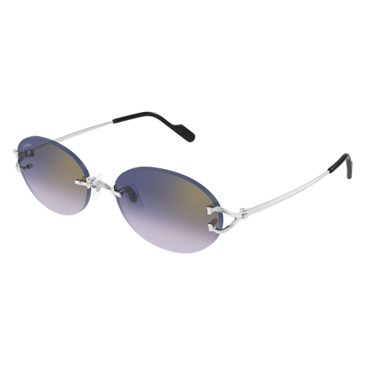 Occhiali da sole CARTIER CT0551S Argento B