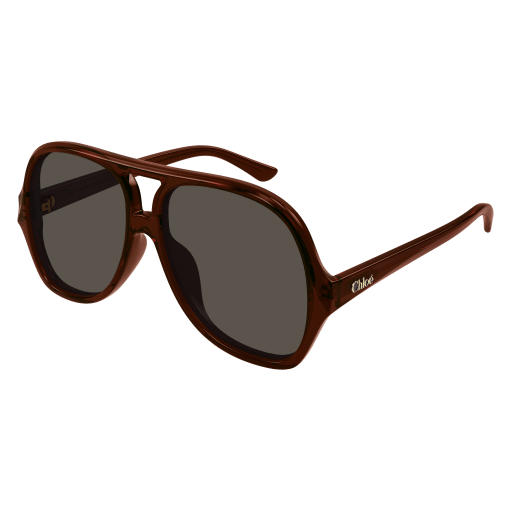 Occhiali da sole CHLOÉ CH0289S Marrone