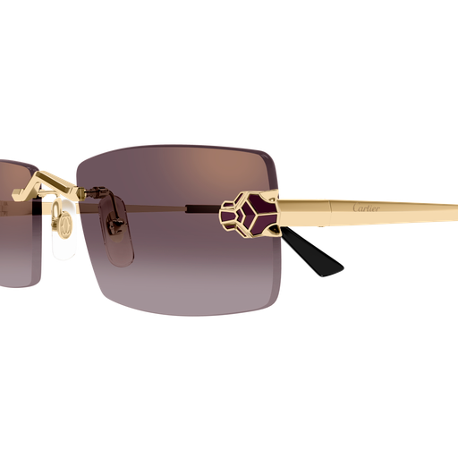 Occhiali da sole CARTIER CT0598S ORO3
