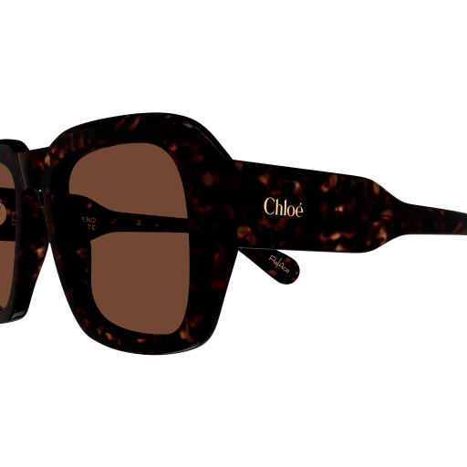 Occhiali da sole CHLOÉ CH0310S Havana