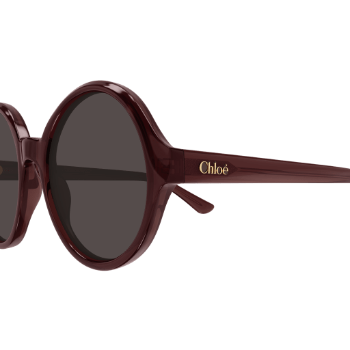 Occhiali da sole CHLOÉ CH0290S Marrone