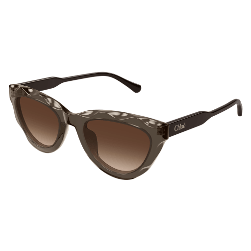 Occhiali da sole CHLOÉ CH0294S Marrone
