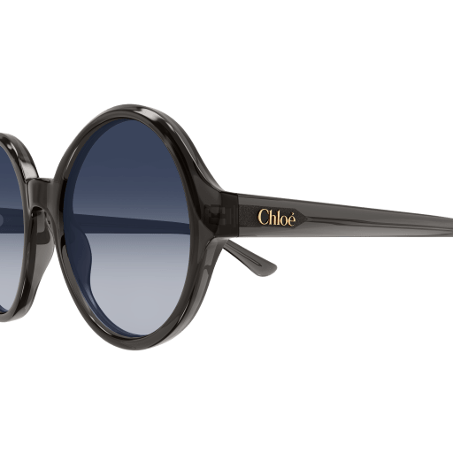 Occhiali da sole CHLOÉ CH0290S Grigio