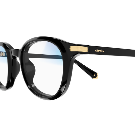 Occhiali da sole CARTIER CT0584S NERO2