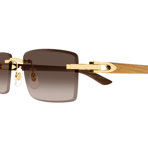 Occhiali da sole CARTIER CT0582S ORO3