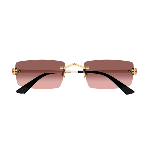 Occhiali da sole CARTIER CT0598S ORO2