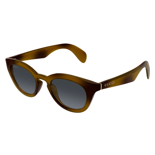 Occhiali da sole GUCCI GG1934S HAVANA2