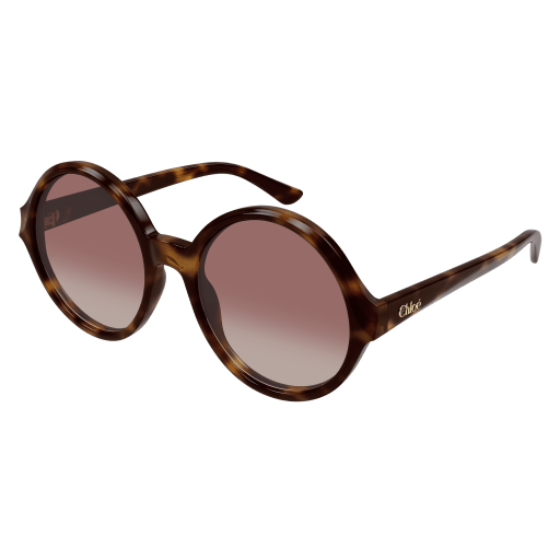 Occhiali da sole CHLOÉ CH0290S Havana