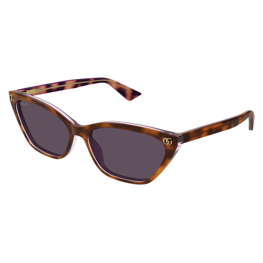 Occhiali da sole GUCCI GG1815S HAVANA2