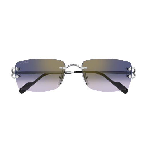 Occhiali da sole CARTIER CT0550S Argento