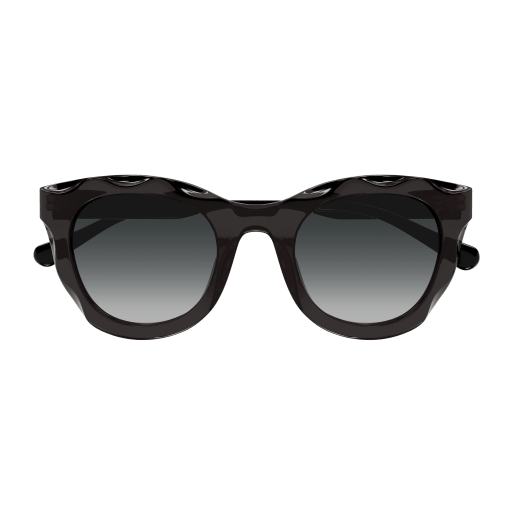 Occhiali da sole CHLOÉ CH0295S Grigio