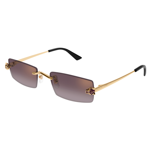 Occhiali da sole CARTIER CT0598S ORO3