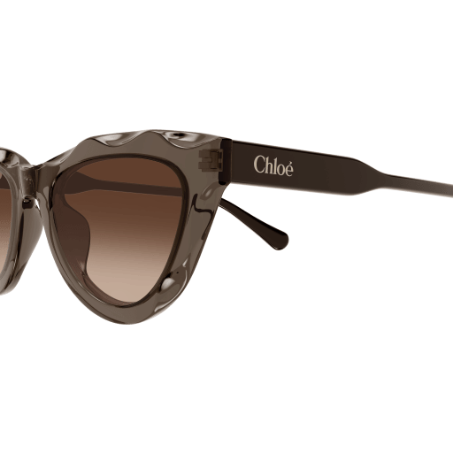 Occhiali da sole CHLOÉ CH0294S Marrone