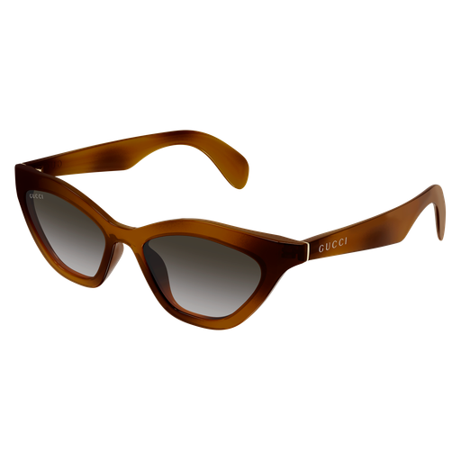 Occhiali da sole GUCCI GG1931S HAVANA2