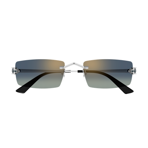 Occhiali da sole CARTIER CT0598S ARGENTO2