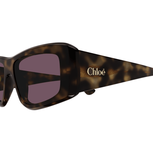 Occhiali da sole CHLOÉ CH0299S Havana