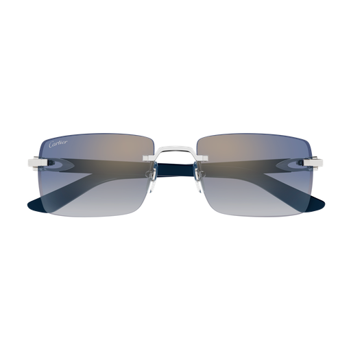 Occhiali da sole CARTIER CT0579S ARGENTO2
