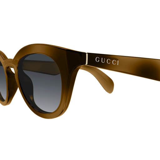 Occhiali da sole GUCCI GG1934S HAVANA2
