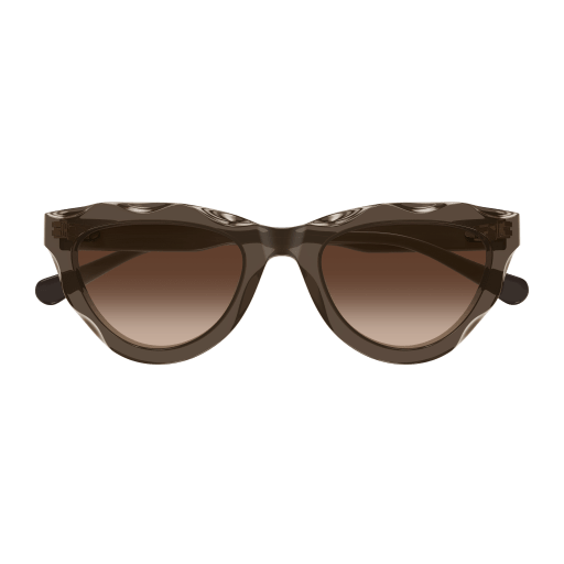 Occhiali da sole CHLOÉ CH0294S Marrone