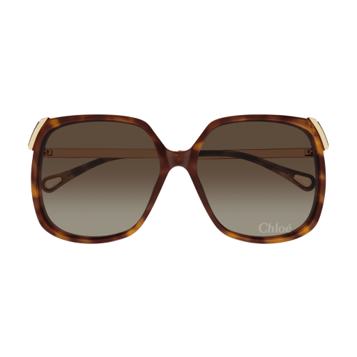 Occhiali da sole CHLOÉ CH0286S Havana