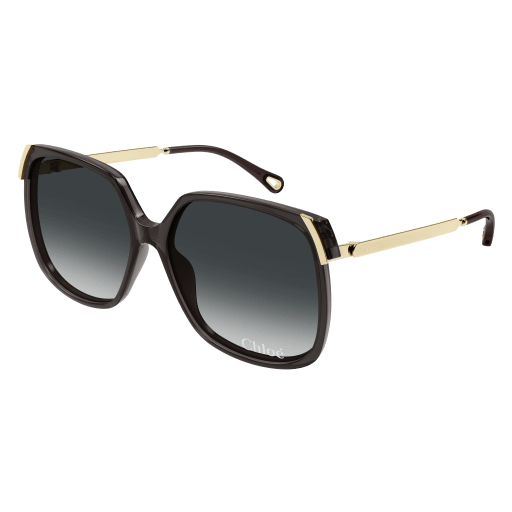 Occhiali da sole CHLOÉ CH0286S Grigio