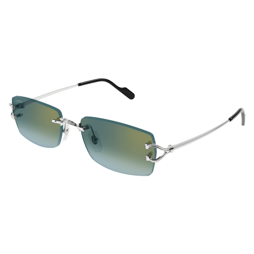 Occhiali da sole CARTIER CT0550S Argento B