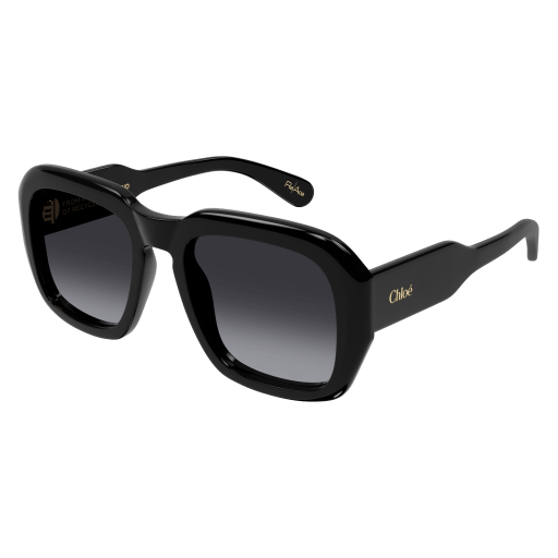 Occhiali da sole CHLOÉ CH0310S Nero
