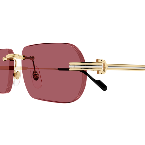 Occhiali da sole CARTIER CT0577S ORO3