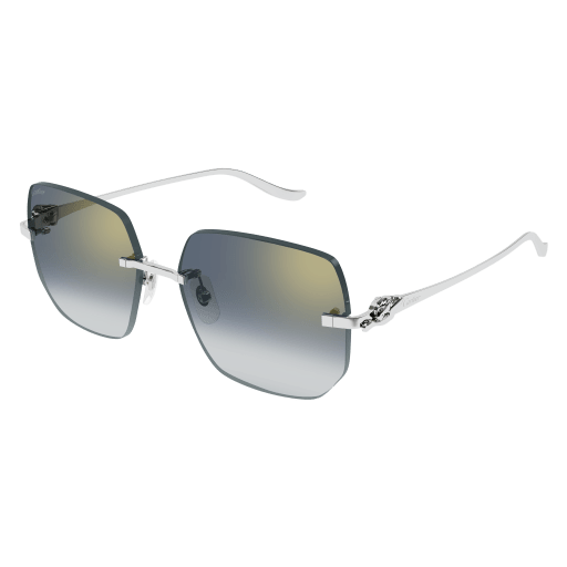 Occhiali da sole CARTIER CT0549S Argento