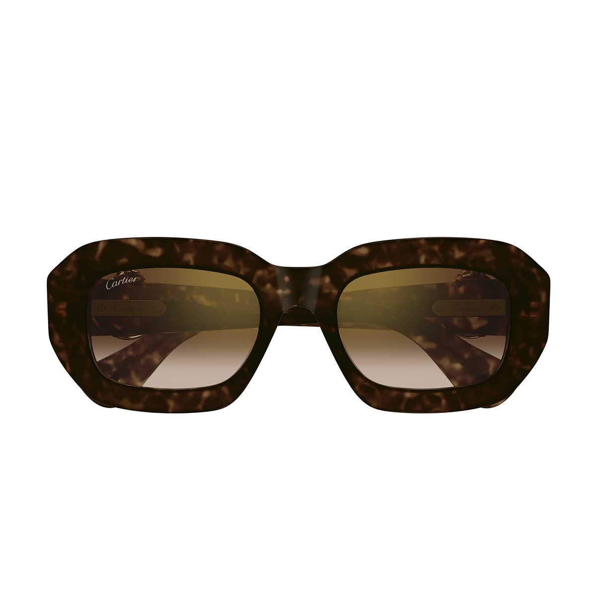 Cartier Occhiali da Sole CT0546S 002 Marrone/Marrone Donna