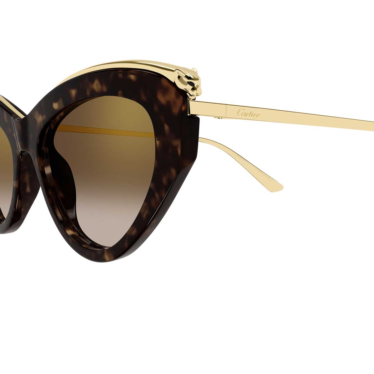 Cartier Occhiali da Sole CT0596S 002 MarroneOro/Marrone Donna